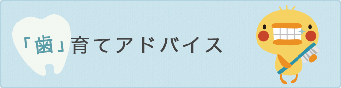 歯育てアドバイス